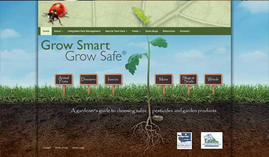 SiteDesign-GSGS02